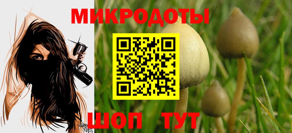 Жигулёвск  Псилоцибиновые грибы GOLDEN TEACHER  как найти наркотики  Вход с VPN  Галлюциногенные грибы MAGIC MUSHROOMS 