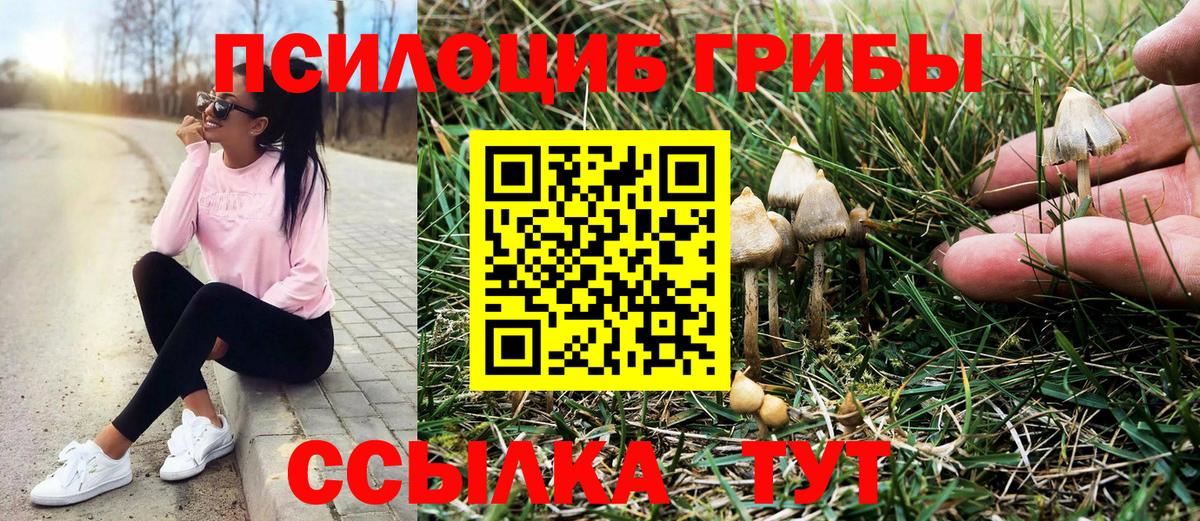 Галлюциногенные грибы Psilocybine cubensis  Псилоцибиновые грибы Magic Shrooms  Жигулёвск 
