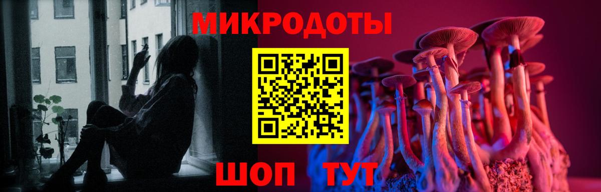 Псилоцибиновые грибы мухоморы Жигулёвск