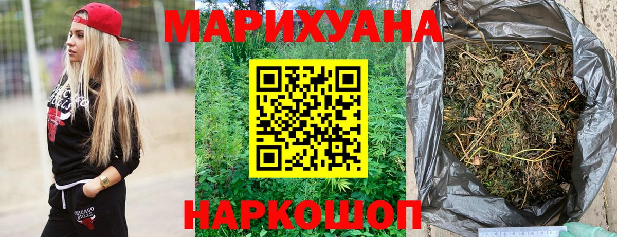 Канабис гибрид  Бошки Шишки планчик  Жигулёвск  Каннабис индика  Канабис гибрид 